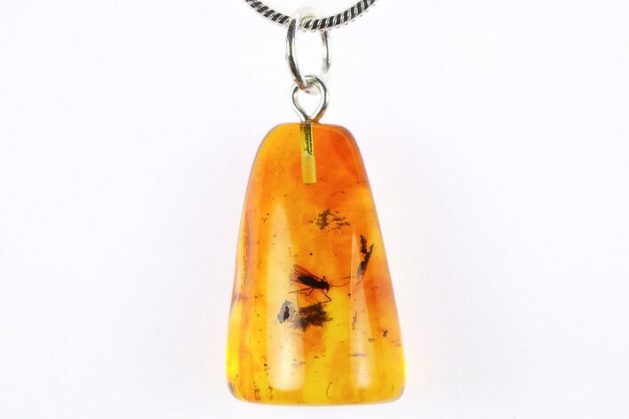 Polished Baltic Amber Pendant (Necklace) - Contains Fly! #272293